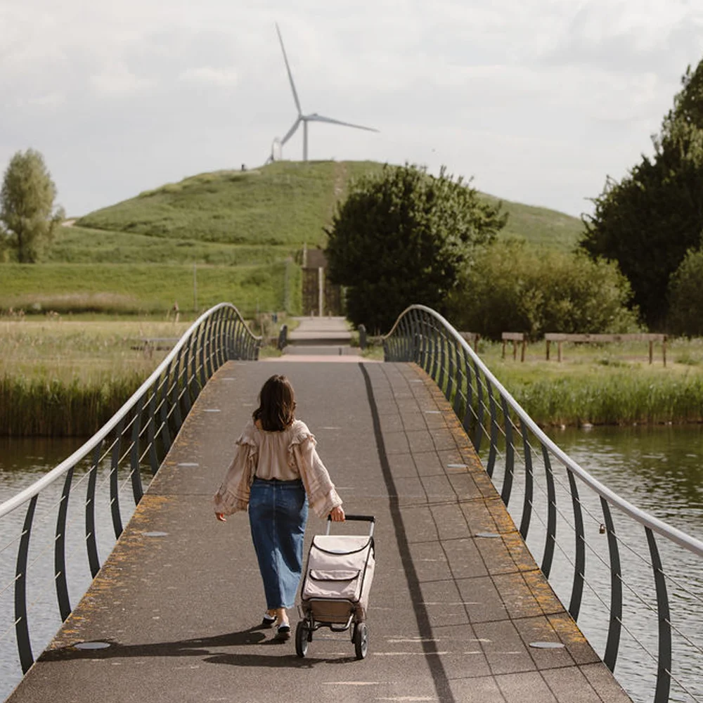 Secc boodschappentrolley champagne bij Duifhuizen