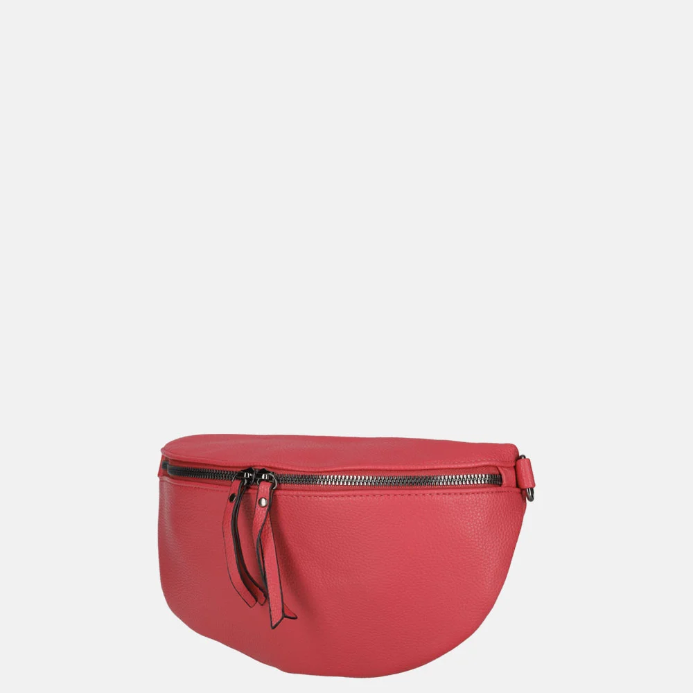 Firenze heuptas plum blossom bij Duifhuizen