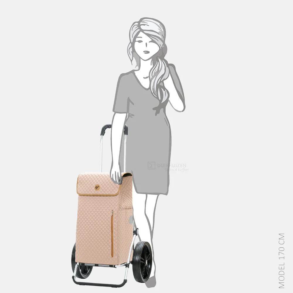 Andersen Royal shopper Lisa boodschappentrolley sand bij Duifhuizen
