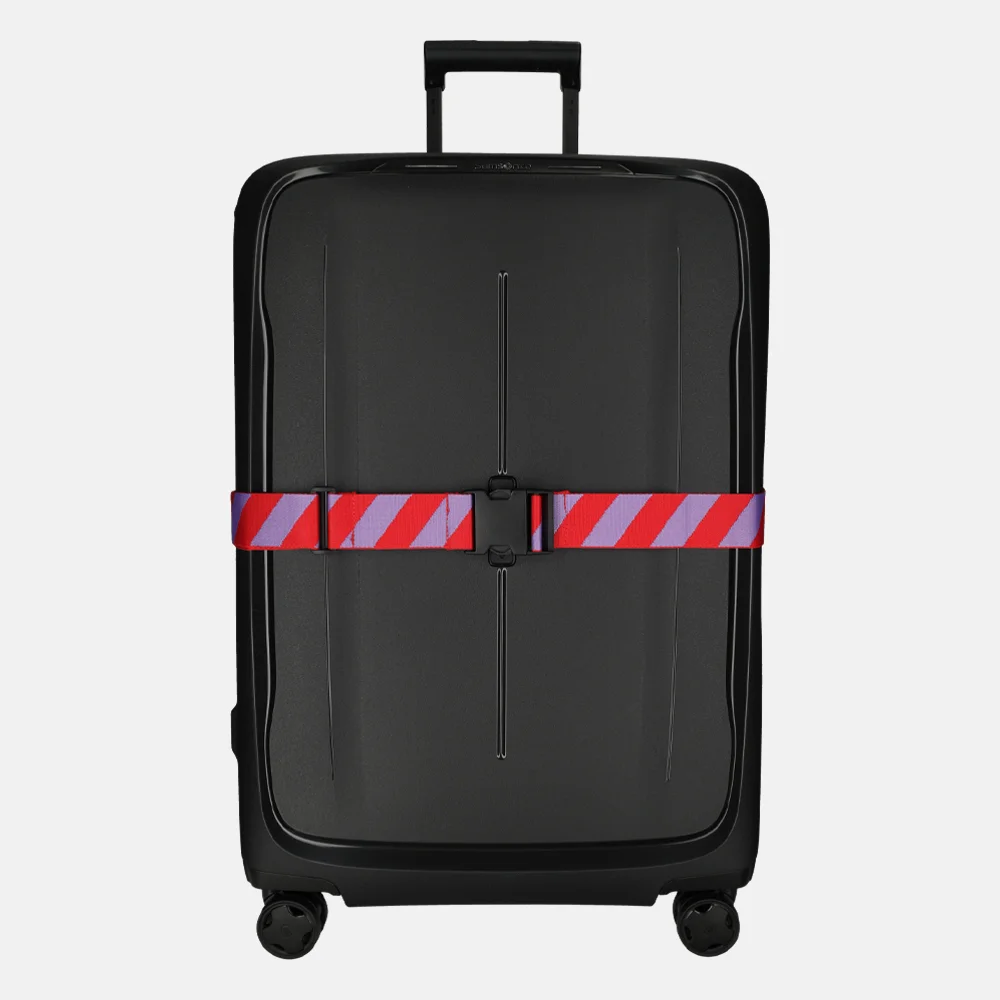 Duifhuizen kofferriem stripe purple-red bij Duifhuizen