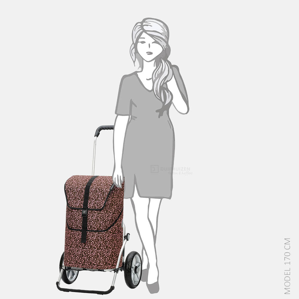 Andersen Royal Shopper Imea boodschappentrolley roze bij Duifhuizen