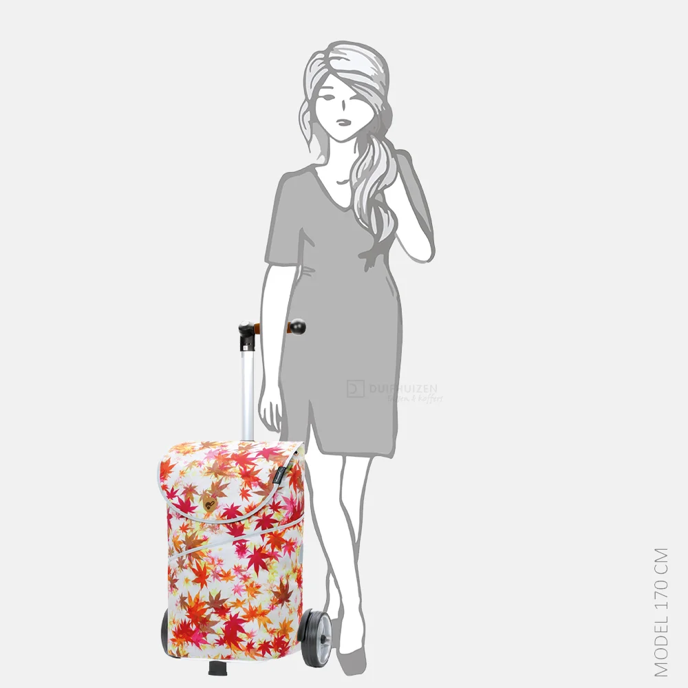 Andersen Unus boodschappentrolley herfst bij Duifhuizen