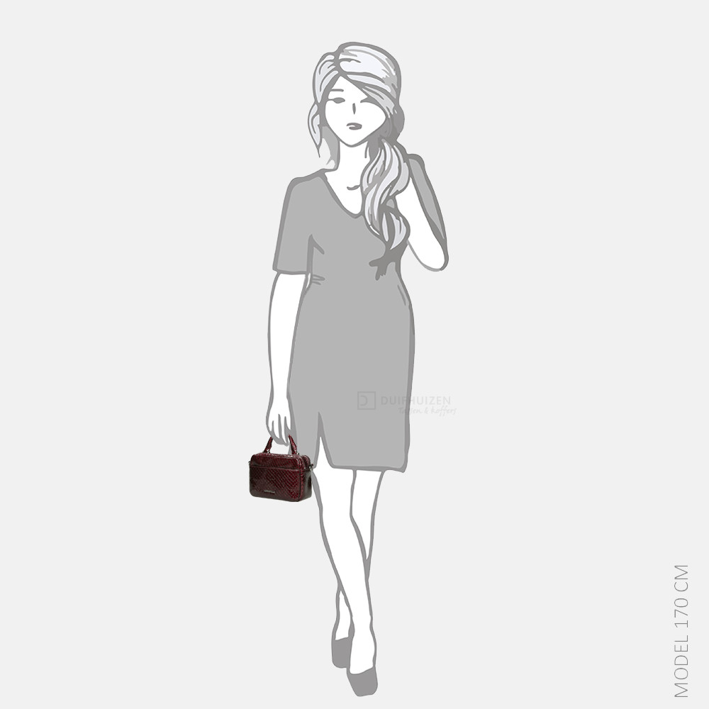 GiGi Fratelli handtas box snake rubino bij Duifhuizen