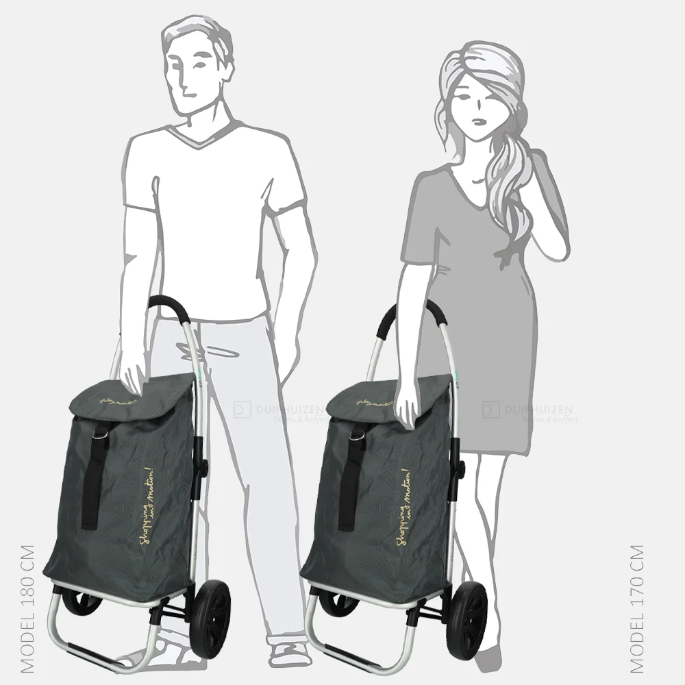 Playmarket Go Two compact boodschappentrolley grijs bij Duifhuizen