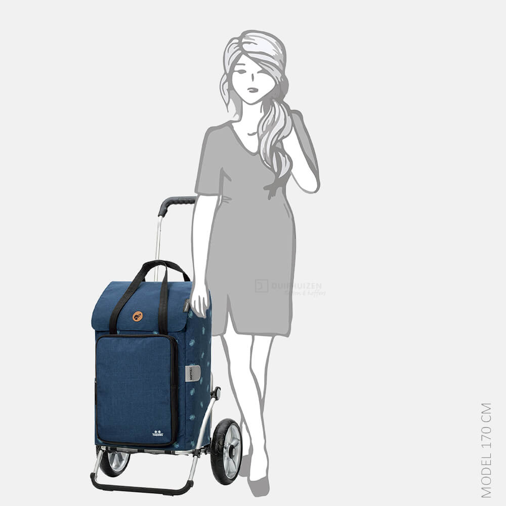 Andersen Royal Shopper Ivar (kogellager) boodschappentrolley blauw bij Duifhuizen