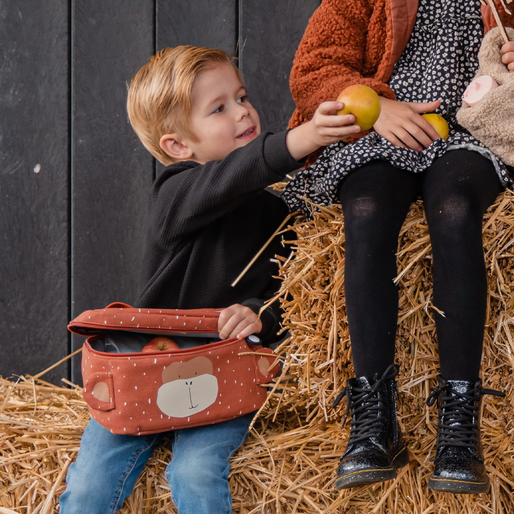 Trixie lunchbox Mr. Monkey bij Duifhuizen