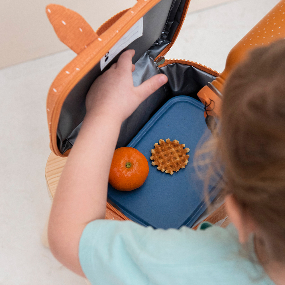 Trixie lunchbox Mr. Fox bij Duifhuizen