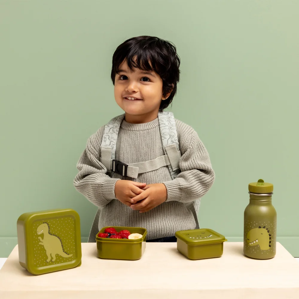 Trixie 3-delig lunchbox Mr Dino bij Duifhuizen