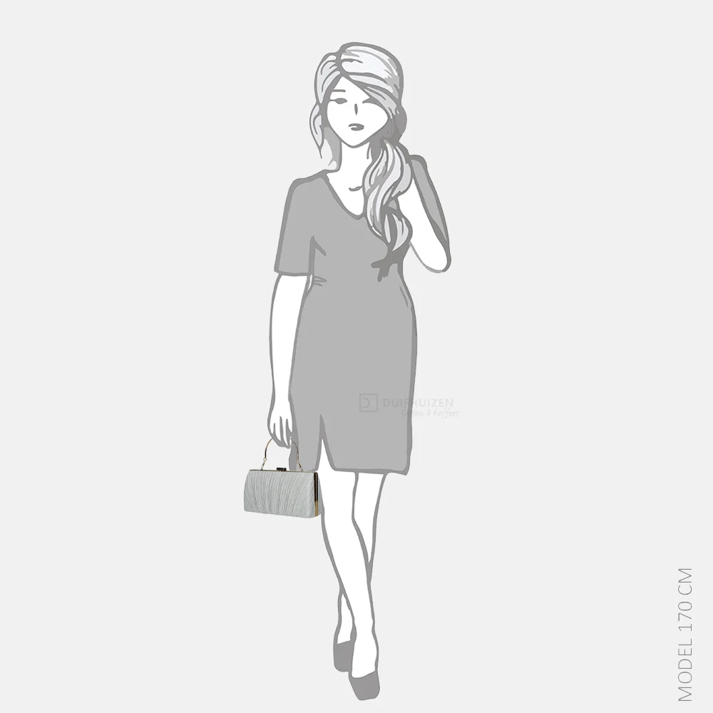 Firenze clutch silver bij Duifhuizen